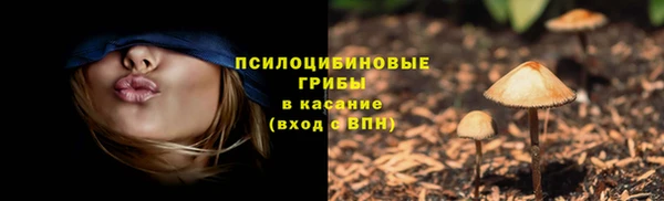 амф Березники