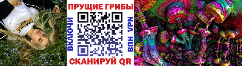 hydra как войти  Черноголовка  Псилоцибиновые грибы Magic Shrooms  цены наркотик 